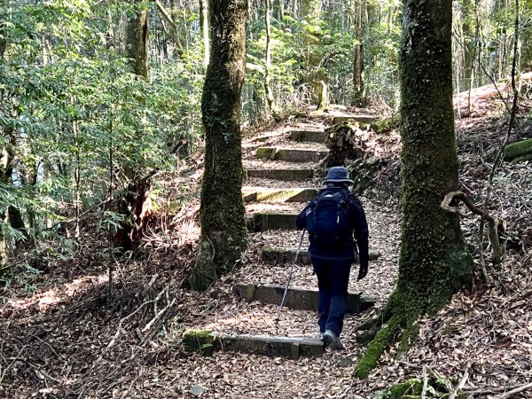 船型山環走大雪山210林道2978018