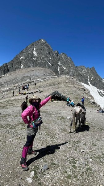 喀什米爾/馬牛羊駱駝動物寫真2565811