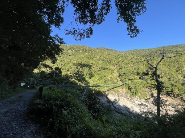 [玉山尋寶任務-03/12] 2025_0810 瓦拉米步道2857379