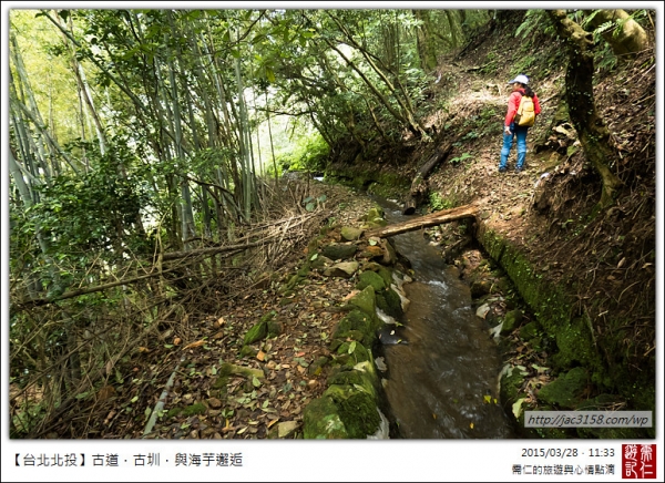 猴崁水圳古道16367