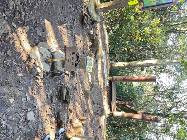 東眼山 自導式步道 三角點2975875