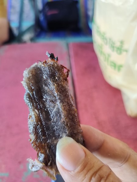 泰國曼谷：邦盛沙灘2922291