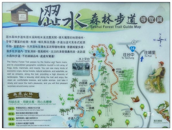 澀水森林步道、水上瀑布2846762