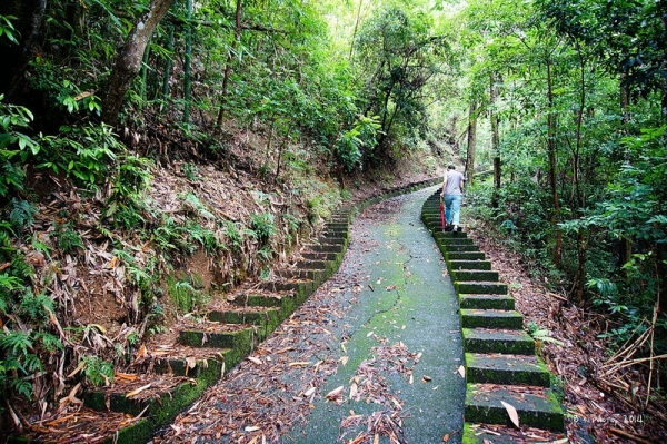 【南投】水里走水沙連古道登二坪山