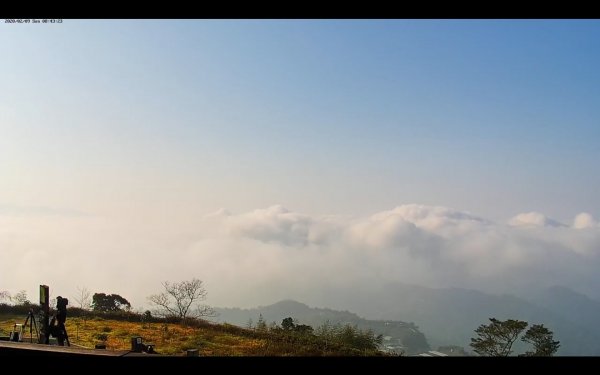 阿里山雲瀑&雲海/富士山直播即時視訊830265
