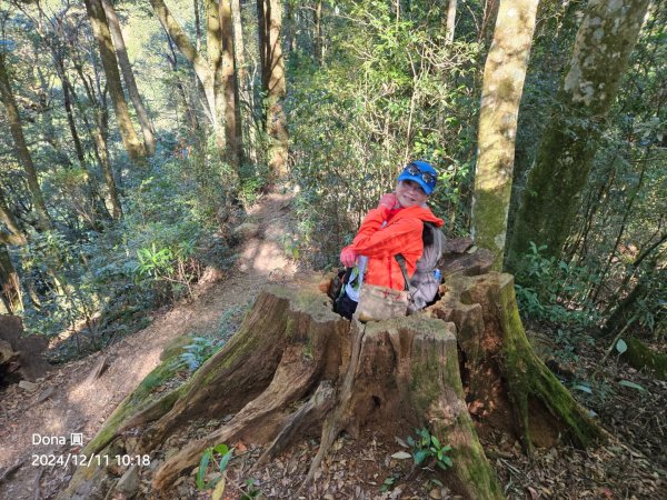 【谷關七雄】屋我尾山(H1796m)＆屋我尾山北峰(H1784m)熱身行2670231