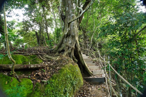 台中 和平 埋伏坪山2924982