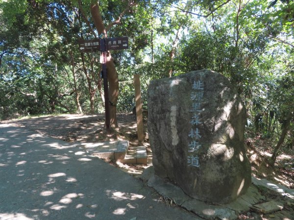 彰化桃源里森林步道+龍鳳谷森林步道2696108