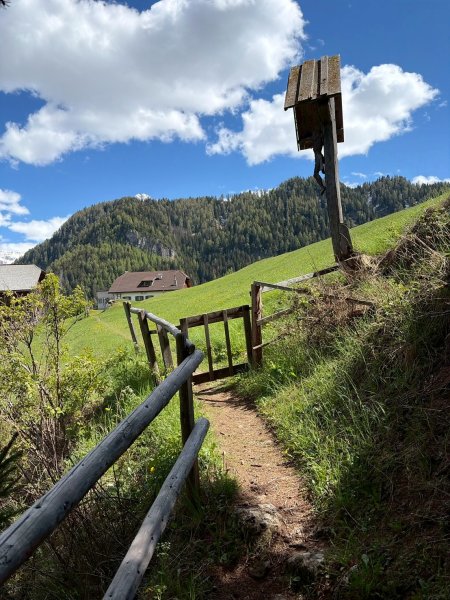 Dolomiti Ortisei Alpe Di Siusi3072875