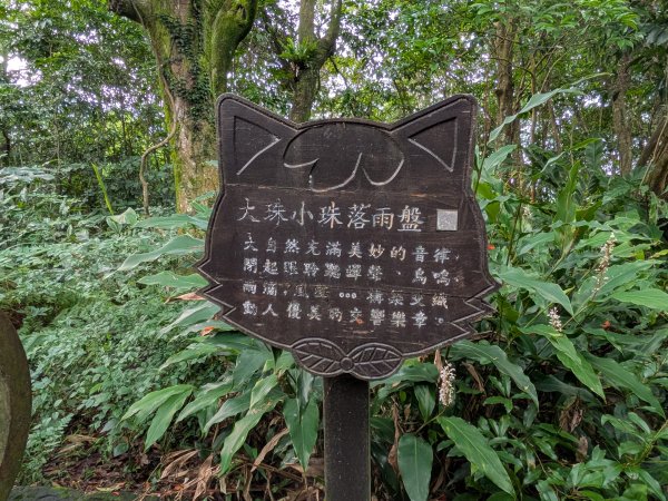 2026.6.19端午節走訪待老坑山3078425