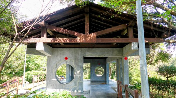 《蝶戀花。酸藤一生》2723361