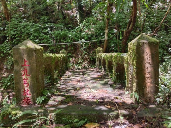 坪林區九芎坑古道+九芎坑圳沽古道+大舌湖山大小O型2845657