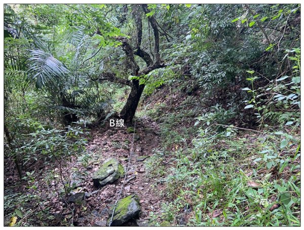 大克山 南稜線A上B下 (卓蘭最高峰)2825500