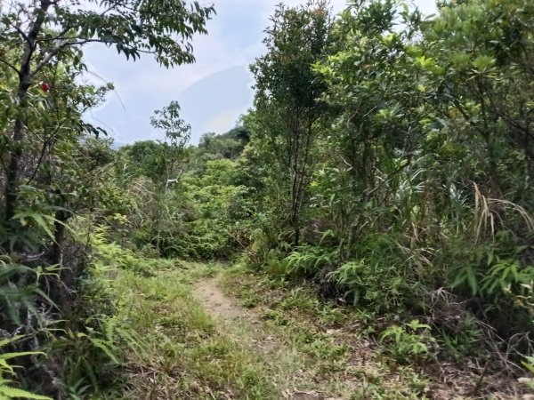 內湖區大丘田保甲路+開眼山+白石湖山+白石湖山東峰+大邱田山+消防山O型2858931