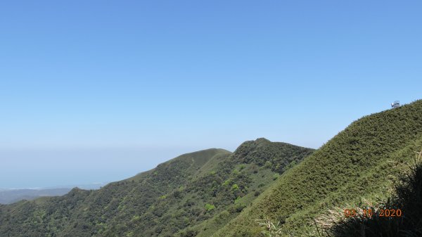 晴朗涼爽舒適/車道像停車場/步道人龍879702