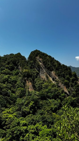 孝子山、普陀山、慈母峰賞鹿子野百合O走2592969