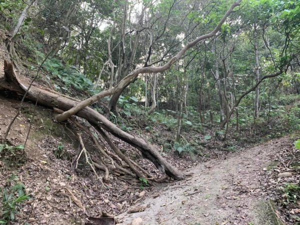 台中霧峰奧山2135019