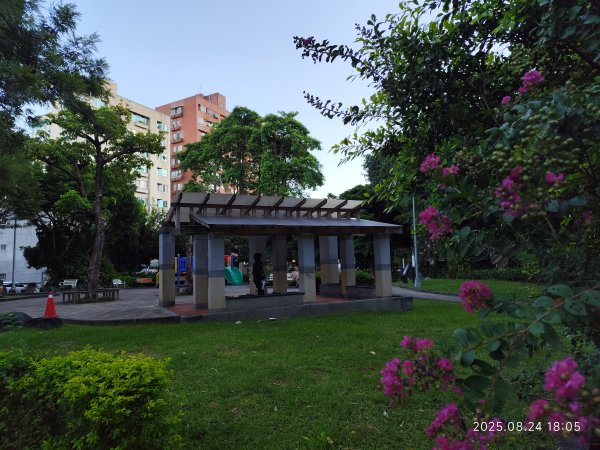 大稻埕、大港墘公園、瑞陽公園、碧湖公園步道【臺北健走趣】2874226