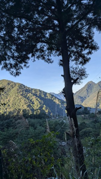【中級山】五星級步道，谷關七雄馬崙山3021966