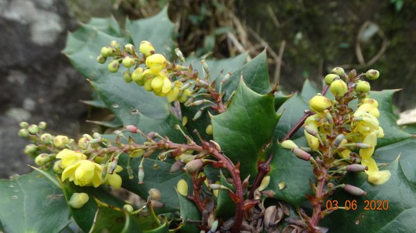 再度槓龜 !868781