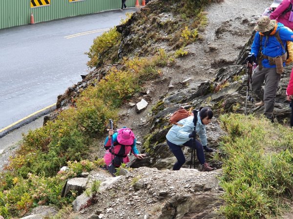 新手登百岳創高峰-合歡南連走主峰1138406