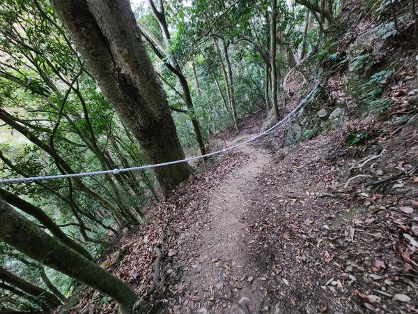 20260118騰龍山加里山O型2997500