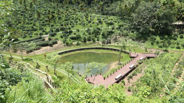 澀水森林步道登山健行趣(步道)2259802