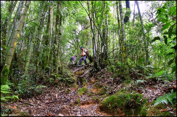 一座鳥山 ~ 金柑樹山 (小百岳)344660