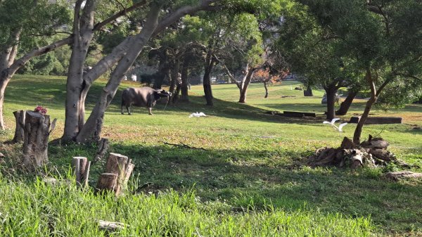 台北大縱走第一段1249048