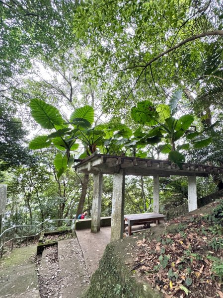 大艽芎古道縱走 新/溪州山(小百岳#23) 出溪州公園2893912