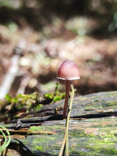 南湖群峰五天四夜2871885