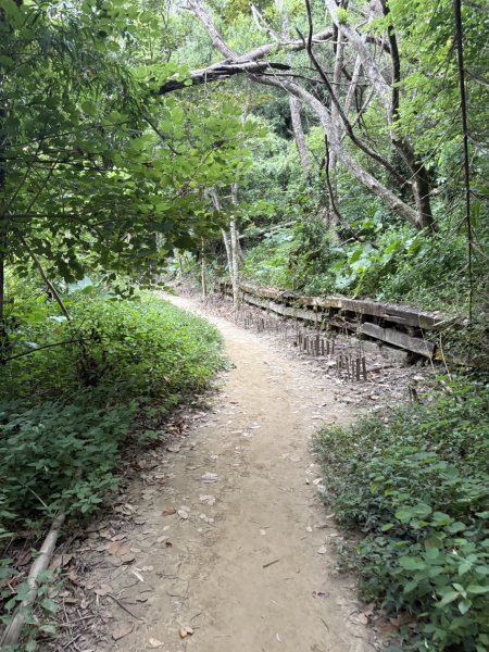 20251024蘭潭後山步道、紅毛埤山、山子頂山2924068