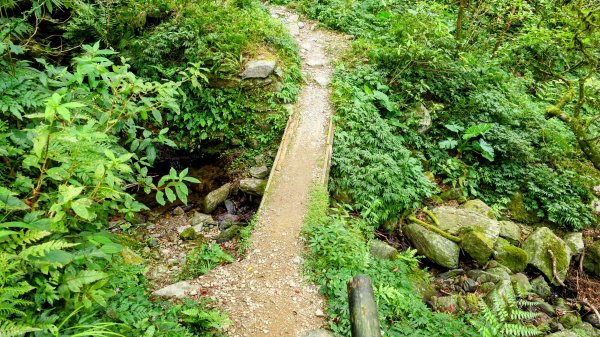 桶後越嶺古道2876812