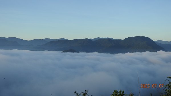 新店四十份/翡翠水庫壩頂月光/晨曦/日出雲海&石碇二格山雲海 7/7 & 13孓遺植物 #雙扇蕨2207749