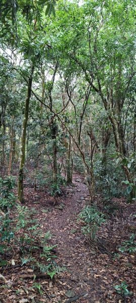 2025 12/27 鳴海山2970988