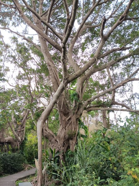 微笑山線和美山螢火蟲段2986180