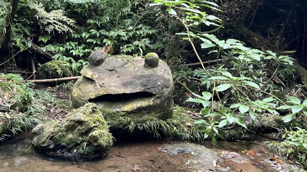 打鐵寮古道-石厝坑山-白石山O型走2551758