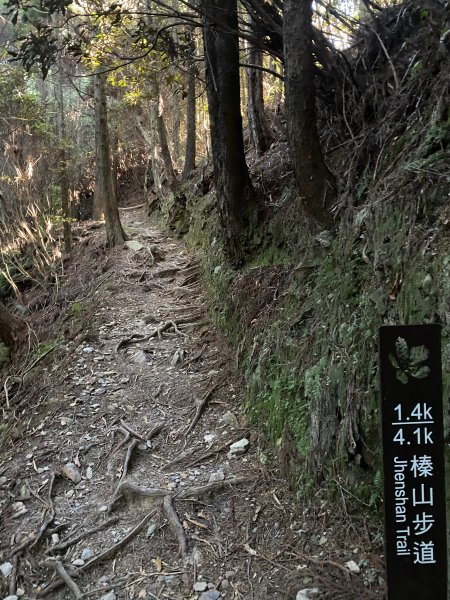 1120710雪霸國家公園觀霧森林遊樂區步道2642900