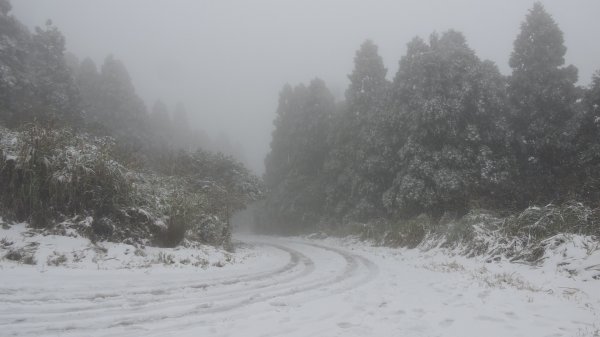 台北後花園下雪了 ！1232093