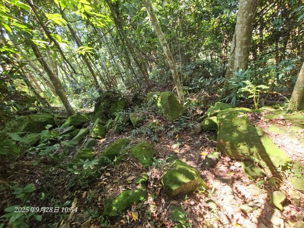 苗栗卓蘭大克山3103168