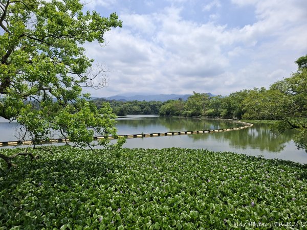 《新竹》湖光山色｜峨眉湖環湖步道+寶山小西湖步道202605173056933