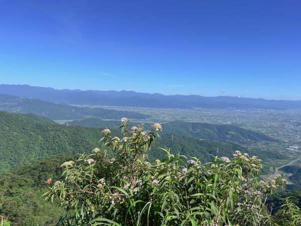 ~ 力霸產業道路(安平坑林道) ~3013747