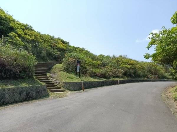 貢寮區龍洞灣岬步道+大禮堂海岸+釣客小徑+金沙灣碉堡野百合2765117