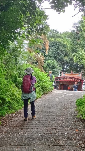 觀音山尖山步道1909689