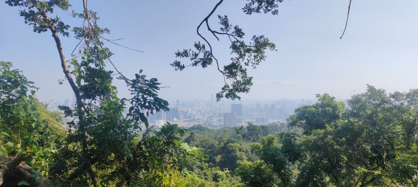 高雄壽山、半屏山2943053