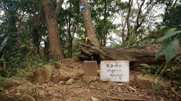 打鐵寮 草嶺山 石龜坑山 白石山連走1265252