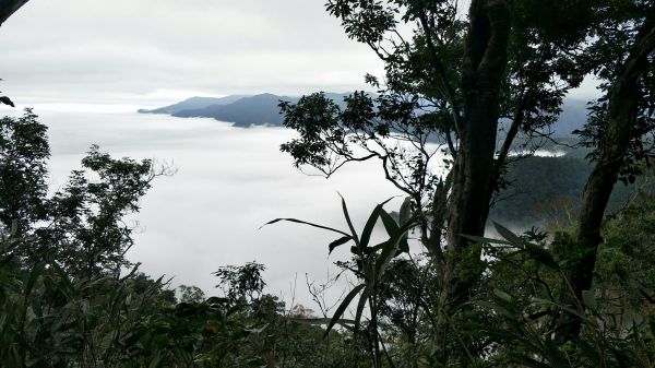 馬那邦山登山步道 2017 12 17226572