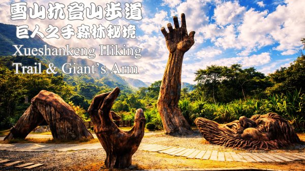 《雪山坑登山步道｜巨人之手森林秘境 Xueshankeng Hiking Trail & Giant’s Arm》