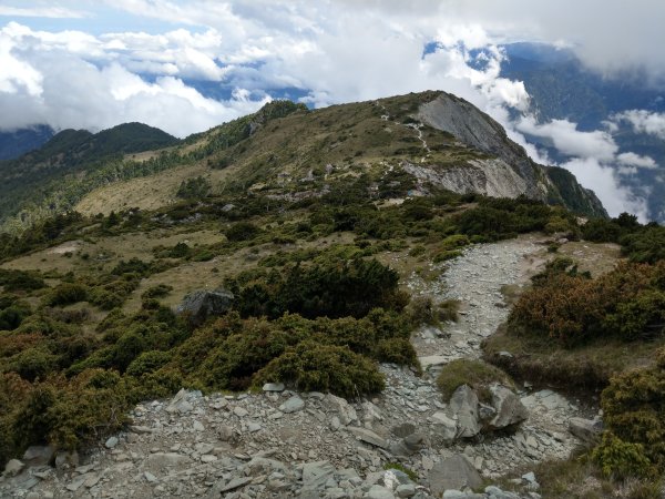 高雄/花蓮/台東-嘉明湖-向陽山-三叉山3053727