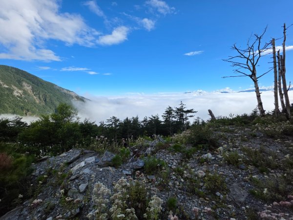 庫哈諾辛山 關山嶺山 溪頭山3135630